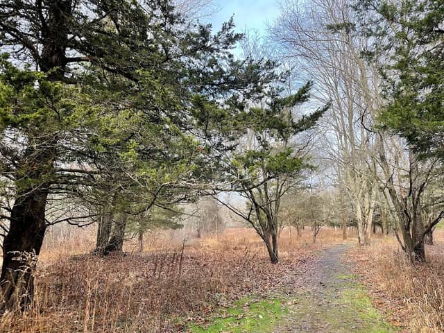 Middletown Nature Gardens - Image 1
