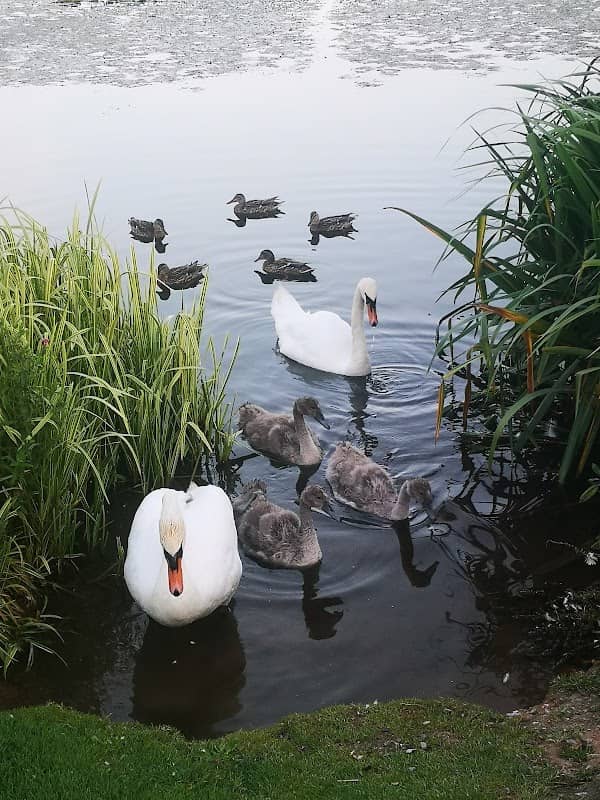 Castlelake Walk - Image 2