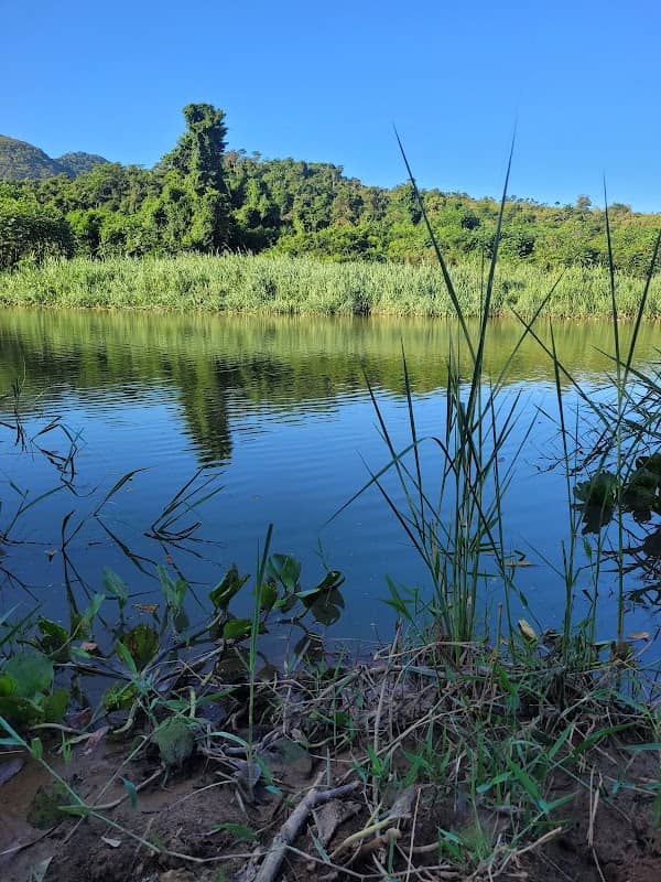 Canto do Bomfim - Image 1