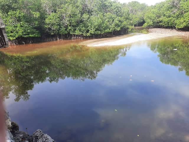 Tahang Boardwalk - Image 1