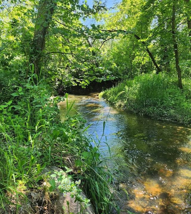 HAMMANN PARK - Image 1