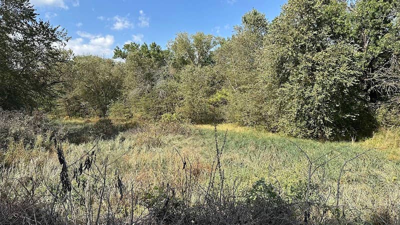 Behrens Pond and Woodland - Image 1