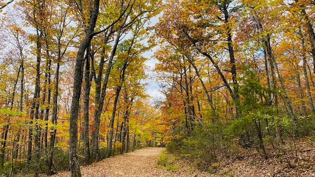 Junction of McAfee Knob Trail and Appalachian Trail - Image 2