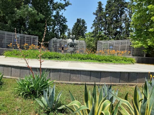 Sokhumi Monkey Nursery - Image 1
