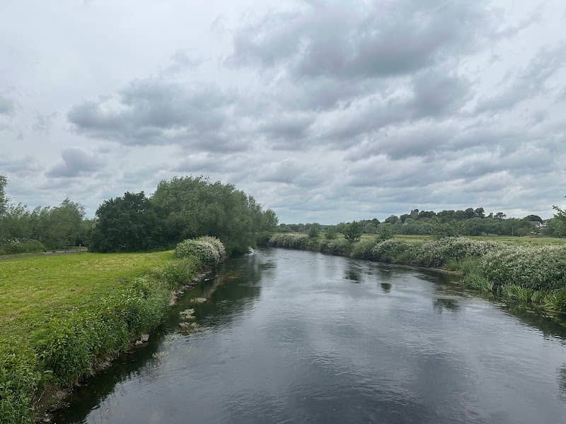 Hemlingford Footbridge - Image 2