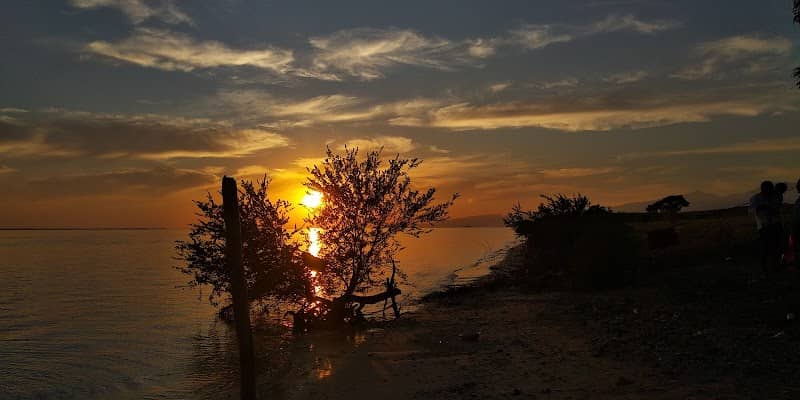 Dale beach - Image 1