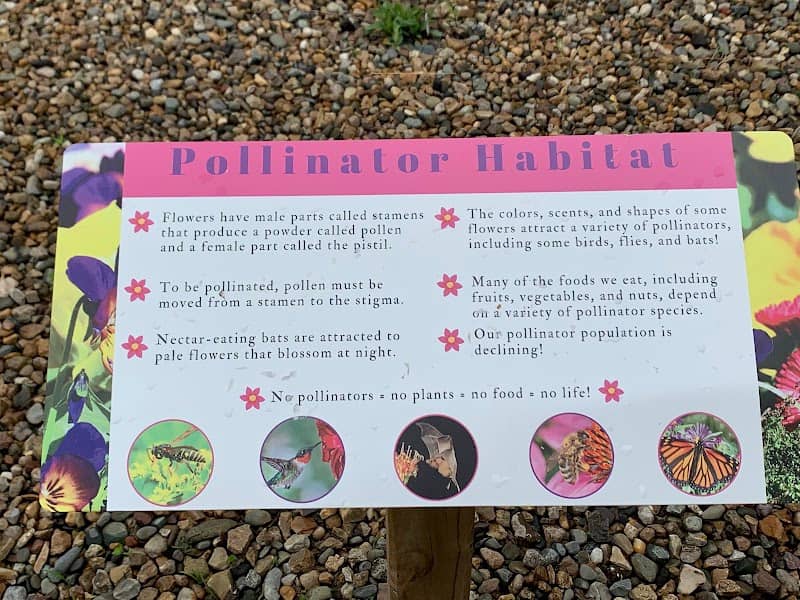 Timber Ridge Nature Trail - Image 1