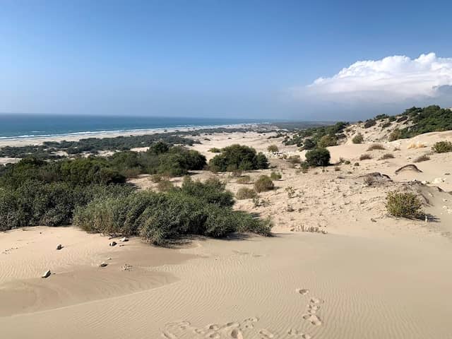 KUM TEPELERİ - Image 1