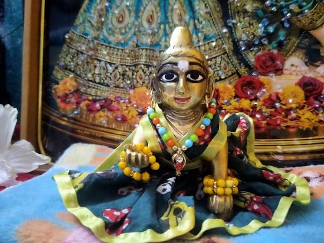 রাই ঝরণা (RAI JHARNA) - Image 1
