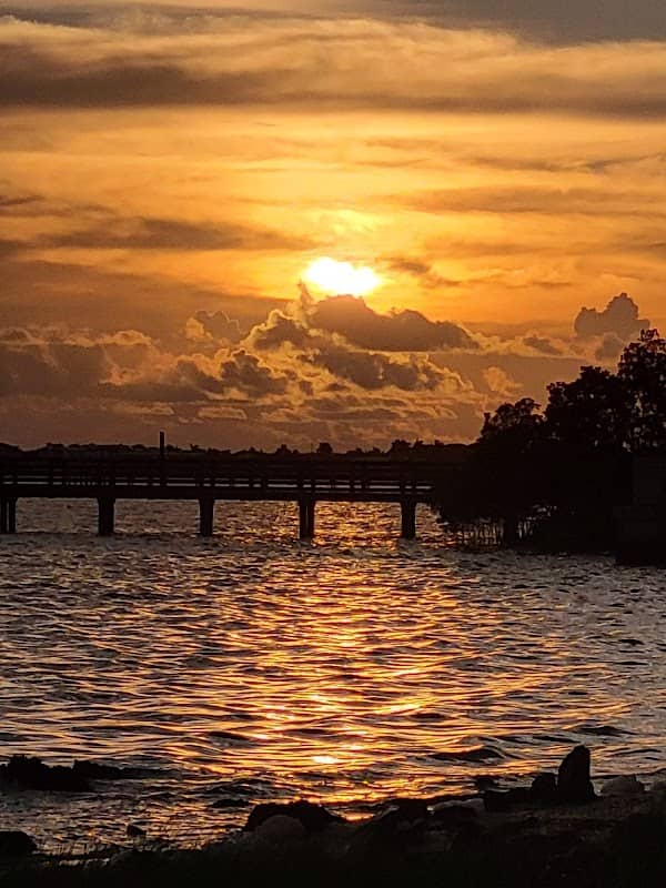 Bayshore Live Oak Park - Image 2