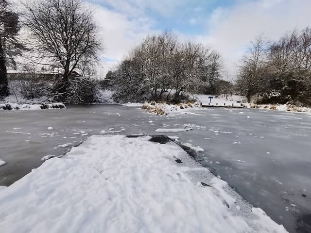 Froggy Park (Quarry Park) - Image 2