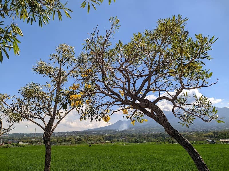Bumi Lumbung Pendem - Image 1