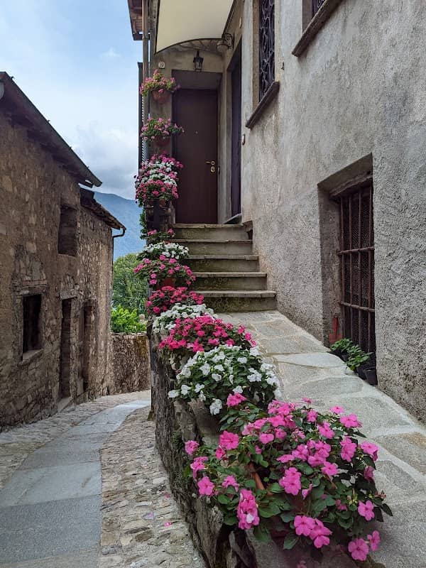 La "via" en rose - Image 2