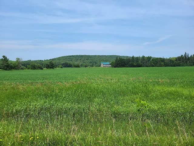 Kemble Mountain Management Area - Image 1