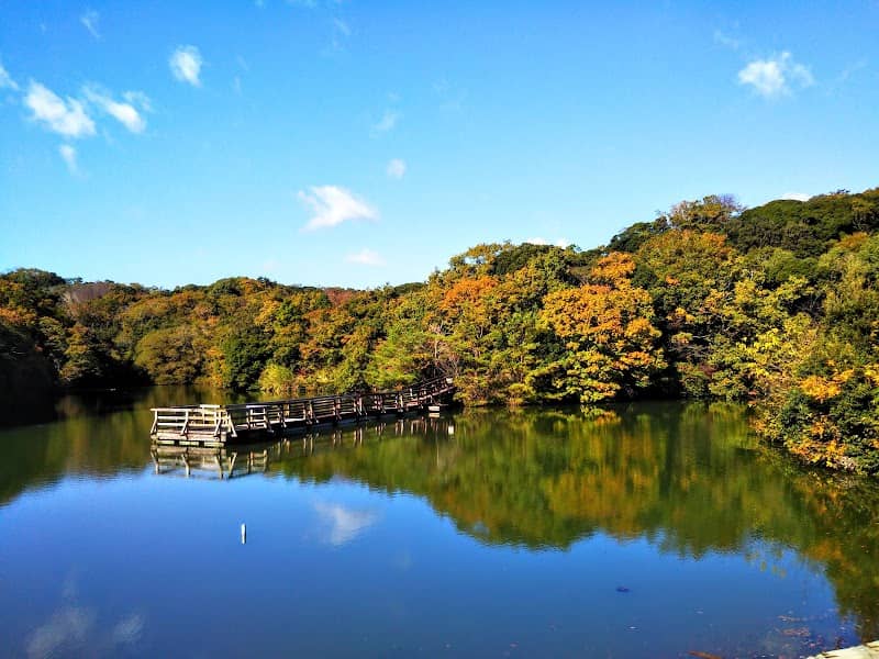 千鳥ヶ谷池 - Image 1