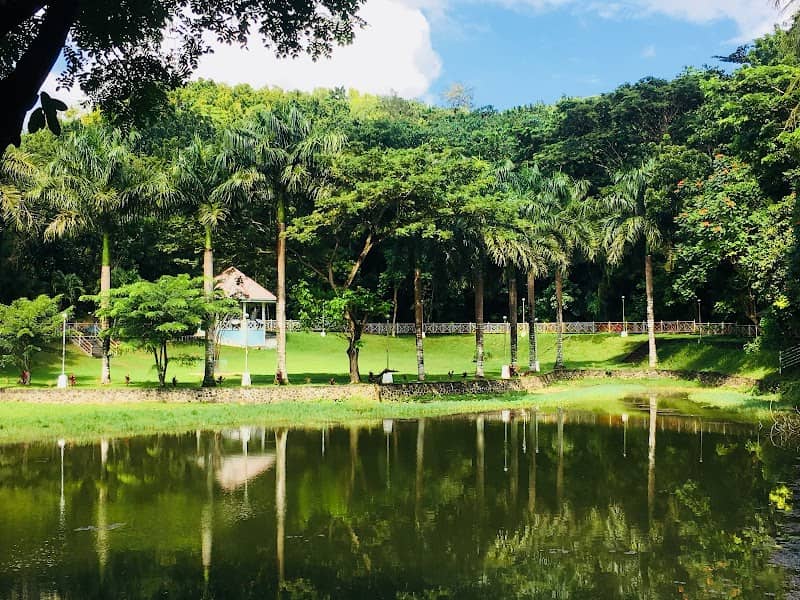D' Family Park - Image 2