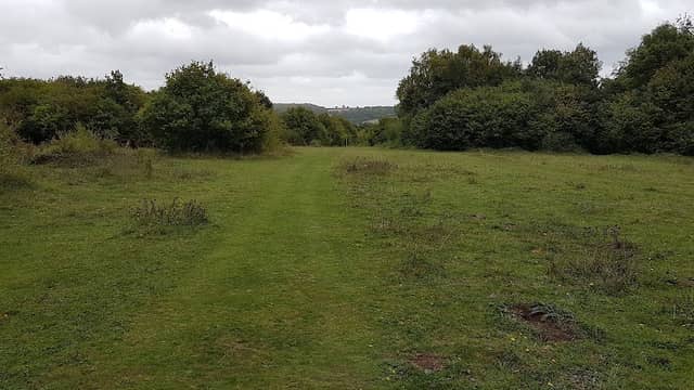 National Trust - Stockbridge Down - Image 1