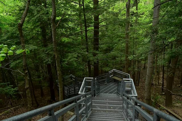 Seaton Trail Stairs - Image 2