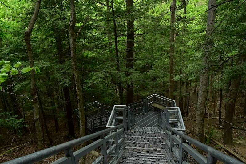Seaton Trail Stairs - Image 2