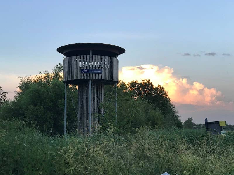 Ackerdijkse Plassen - Image 3