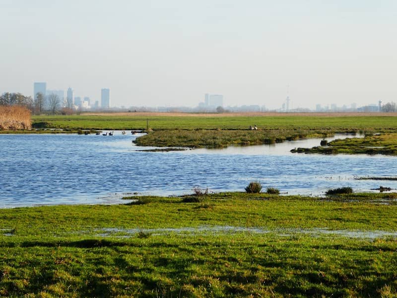 Ackerdijkse Plassen - Image 1