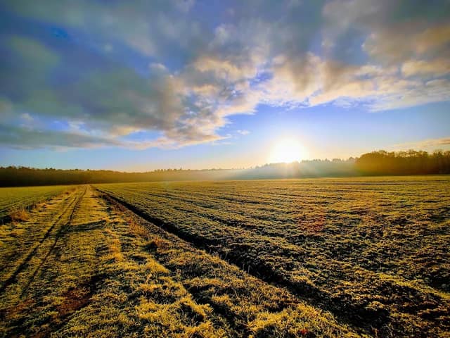 Natuurmonumenten Corvers Forest - Image 2