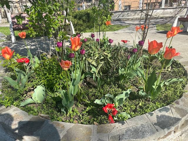 Парк - Image 1