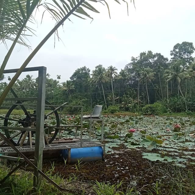 Edayan Lake, Piravom - Image 2