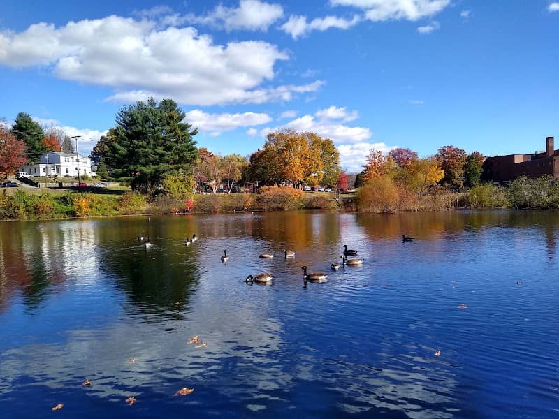 Cass Park - Image 1