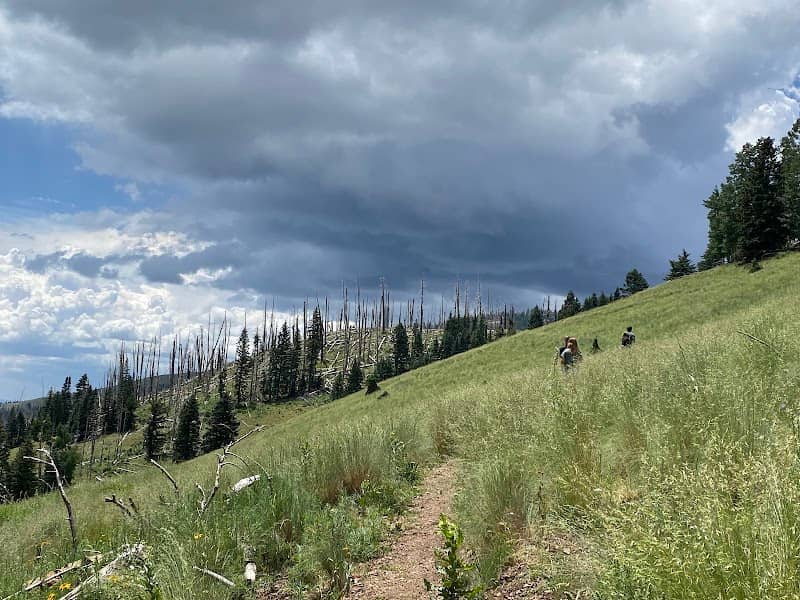 Sierra Blanca Trailhead - Image 1