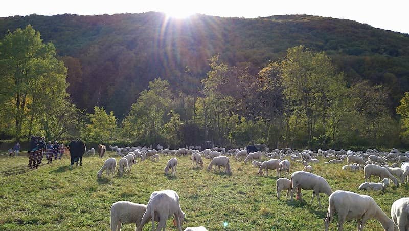 Parco al Bersaglio - Image 1
