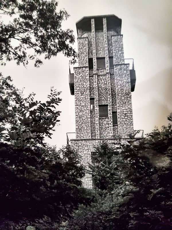 Washington Park Zoo Observation Tower - Image 3