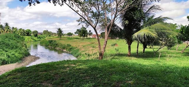 Parque Arborizado Jerusalém - Image 1