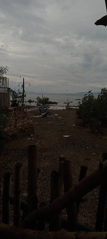 TINUTUAN - Image 1