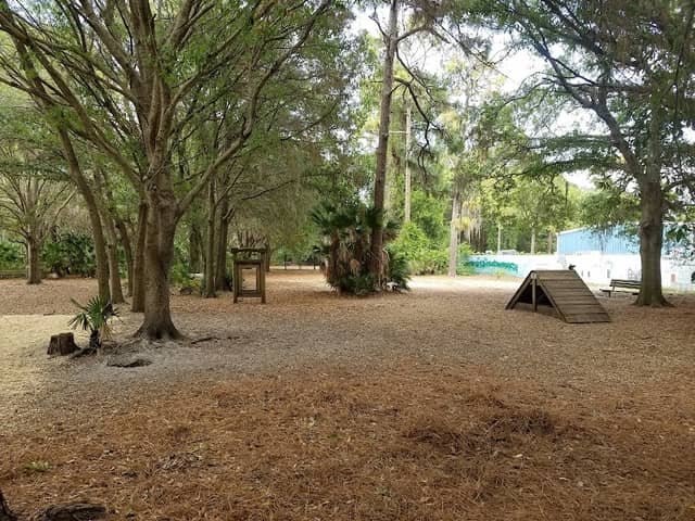 Northeast Park & Paw Place - Image 3