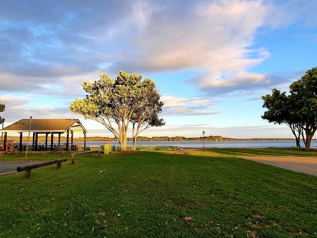 Cabbage Tree Point - Image 2