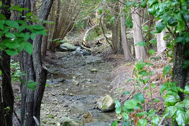 Kawartha Heights Park - Image 1