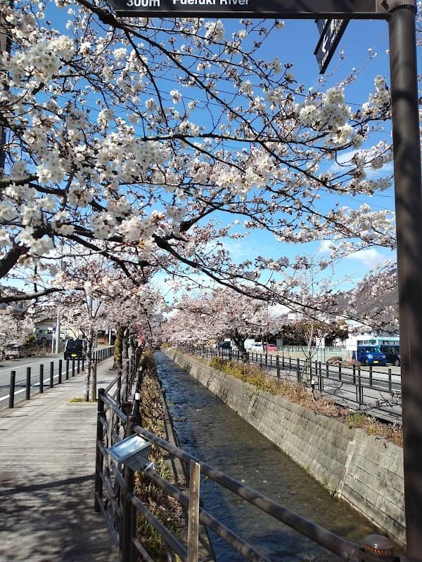 さくら温泉通り - Image 1