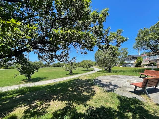 Mainosato Park - Image 1