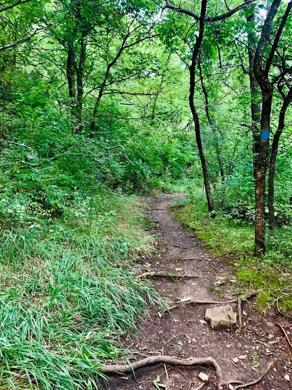 Prairie Clover Campground - Image 1