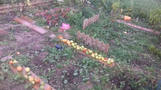 Les Jardins de Merlin - Image 2