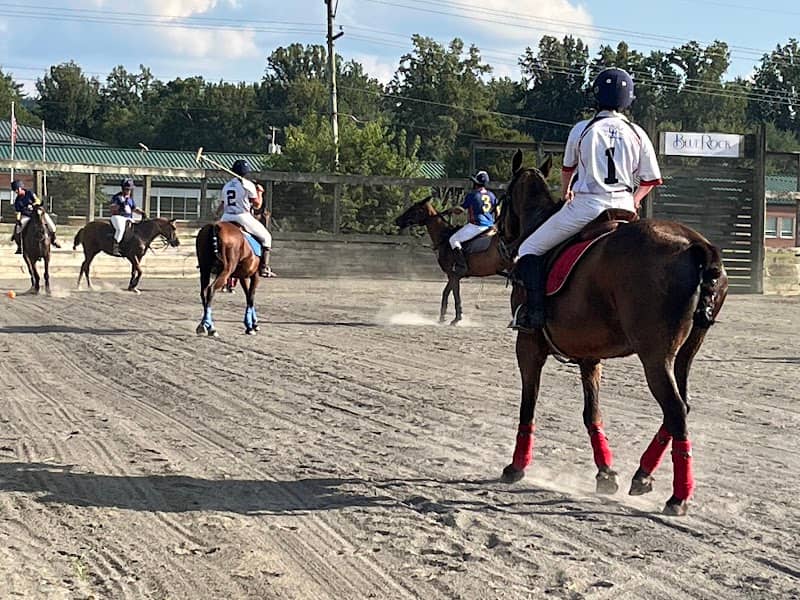 Blue Rock Polo Arena - Image 2