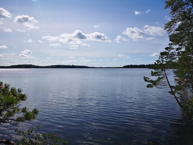 Outdoor Recreation Area Savojärven Rantapiha - Image 1