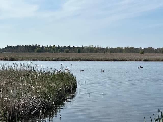 Braddock Bay Hawkwatch - Image 3