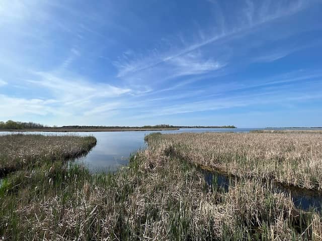 Braddock Bay Hawkwatch - Image 2