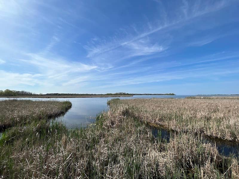 Braddock Bay Hawkwatch - Image 2