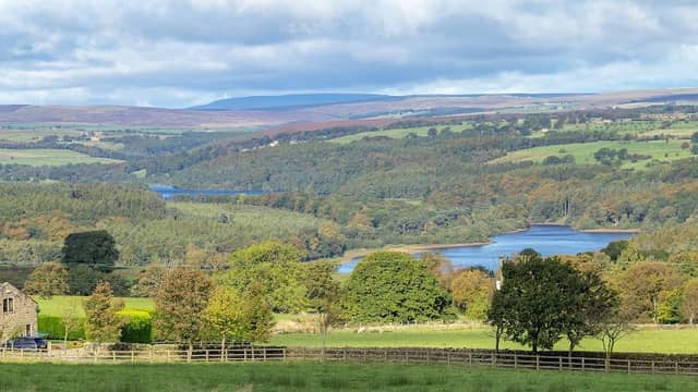 Stainburn dh - Image 2