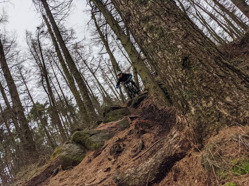 Stainburn dh - Image 1