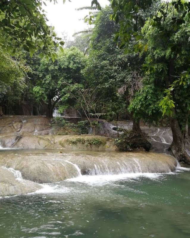 Wangkanluang Arboretum - Image 2