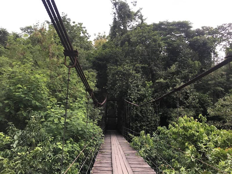 Wangkanluang Arboretum - Image 1